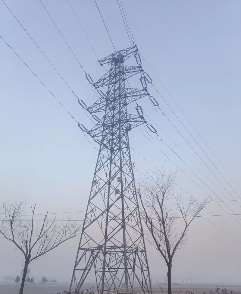 Quali sono le caratteristiche della torre d'acciaio ad angolo zincato?