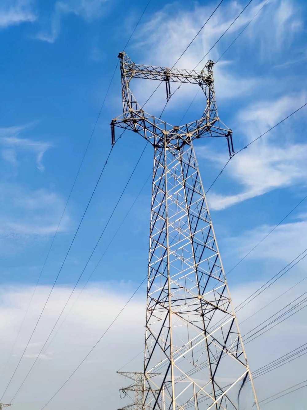 Quali sono le caratteristiche della torre a tubo singolo in metallo?